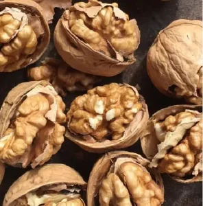 Nihewan New Crop Chinese 33 185 Raw Walnut Price Walnut in Shell