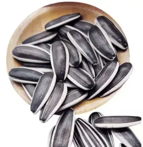 No GMO 361 363 601 T5 T6 Raw Sunflower Seeds Dried Good Price Sunflower Seeds Ton Price
