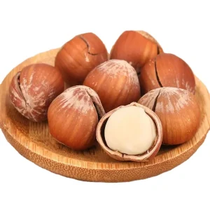Northeast Hazelnut in Dried Style Roasted and Blanched Raw Food Processing Packaged in Box