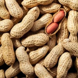 OEM Raw Dried Peanuts in Creamy and Salty Flavors and Customized Organic Food