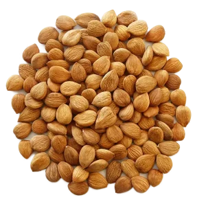 Organic Apricot Kernels