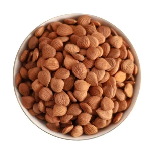 Organic Apricot Kernels Bitter Apricot Kernels Nuts for Sale