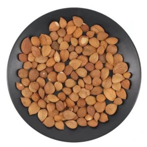 Organic Apricot Kernels Whole Bitter Nuts Dried Process Good Price Bulk Packaging for Sale