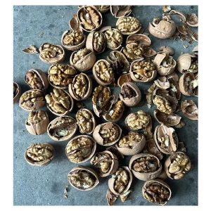 Organic Bulk Walnuts Kernels Premium Dry Fruits in Shell Raw Pecan Nuts Premium Walnuts for Sale