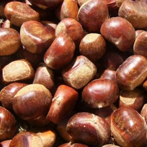 Organic Chestnuts Fresh and Deliciously Healthy IQF Chestnut Frozen Chinese Chestnut