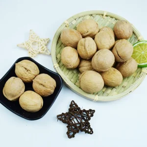 Organic Dry Walnuts From China 185 Food Grade in Bulk Packaging Raw Processing for Kids and Adults