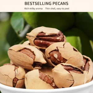 Organic Extra Jumbo South Africa Pecan Nuts Dried Vanilla Flavor Super Easy to Crack Food