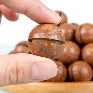Organic Extra Large South African Macadamia Nuts 28mm+ Vacuum Packed No Opener Needed Just a Gentle Squeeze