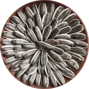 Organic High Quality Roasted Sunflower Seeds 200g Edible Snack China Factory Direct in Stock