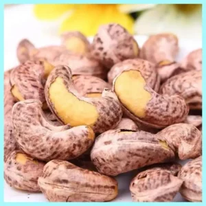 Organic High-quality Raw Cashews (A450 Grade) Vietnam Source 50kg/bag Bulk Packaging at Reasonable Price