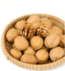 Organic Natural Walnut Nuts in Shell Premium Quality Dried Bulk Supplier for Food Industry