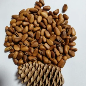 Organic Pine Nuts From Northeast China Bulk Packaged Roasted Dried Nut Food Rich in Nutrients Agriculture Product