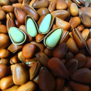 Organic Pine Nuts Healthy Premium Agricultural Snack Economically Priced