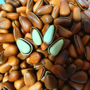 Organic Pine Nuts Healthy Premium Agricultural Snack Economically Priced