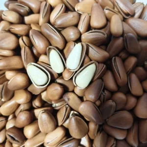 Organic Pine Nuts Healthy Snack Premium Agricultural Product