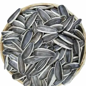 Organic Raw Dried Sunflower Seeds (361 363 T6 Shelled) Advanced Grade 25kg Food Use China