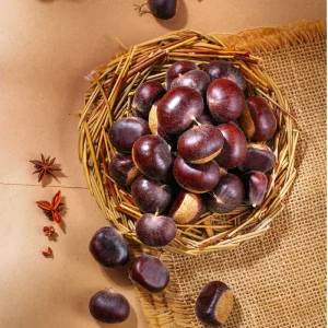 Organic Raw Fresh Chinese Dandong Chestnuts Grade a