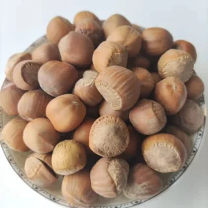 Organic Raw Hazelnut with Custom Packaging Origin Direct Supply