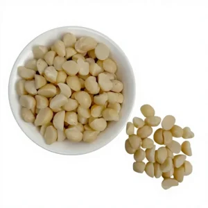 Organic Raw Macadamia Nuts Premium Healthy Snack in Bulk Fast Shipping Dried Style for Food Businesses