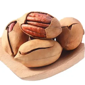 Organic Snacks Pecan Nuts Rich in Nutrients Cream Pecan Kernel