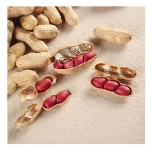 Origin China Top Grade Peanut Kernels High Nutritious Bulk Dried Red Skin Peanut