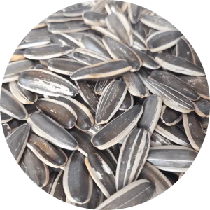 Original Flavor Roasted Sunflower Seeds New Organic Crop Premium Organic Plant based Health Snacks