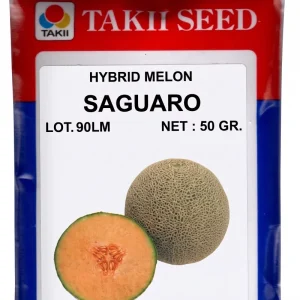 PP Musk Melon Seed Packet Storage Bag Durable Pouch for Strong Sealing