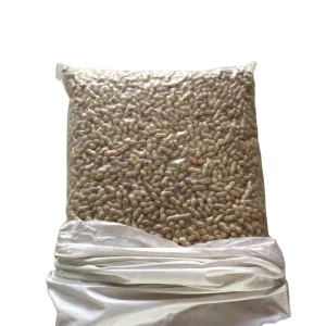 Peanut in Shell peanuts with Shell