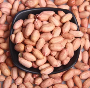 Peanuts Organic Peanut Kernels Raw Peanuts for Healthy Snacks