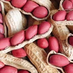 Peanuts with Shell