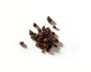 Pecan Nut Crunch Chocolate Bites Rich Aroma Snack for Gathering & Leisure