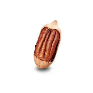 Pecans Nuts Bulk Supply of Raw & Roasted Pecans for Food Manufacturers, Retailers, and Exporters