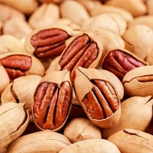 Pecans Nuts for Sale in Bulk Fresh Natural Quality Supplied by Verified Global Food Exporters and Manufacturers
