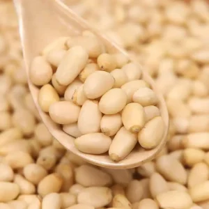Pine Nut Nut