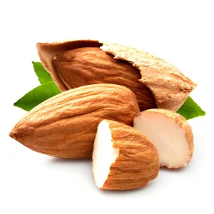 Premium Almond Nuts From China Dry Fruits Badam Almond Kernels for Sale