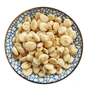 Premium Grade Fried Apricot Kernel for Culinary Ingredient and Breathing Comfort Support Herbal Health Care
