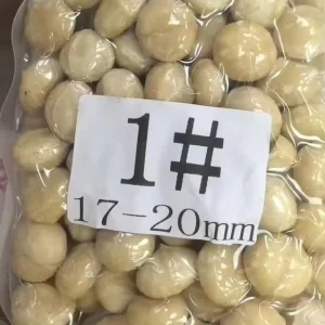 Premium Grade Raw Whole Macadamia Kernels 17-20mm Unroasted Unsalted Nuts