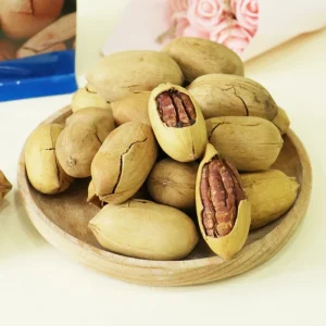 Premium Pecan Nuts Large Granules Organic Raw Bulk Supply for Snacking Baking & Desserts