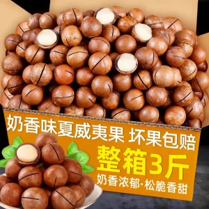 Premium Quality Macadamia Kernels Factory Direct for Healthy Snacking
