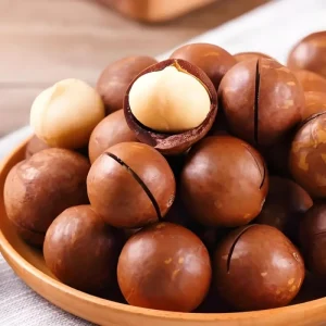 Premium Quality Raw Natural Macadamia Nuts in Shell Vacuum Packed Factory Direct Large Kernels Fresh Snack