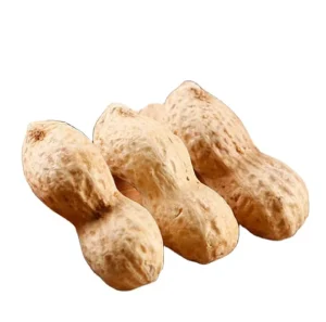 Premium Quality Snacks Fried Original Tastes Whole Peanuts