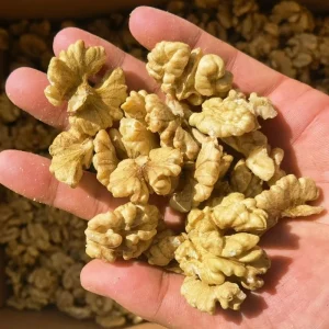 Produced China High quality Top Grade Dried Raw Bulk Walnut Kernels 12 month Shelf Life Available for Best Prices