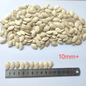 Pumpkin Seeds