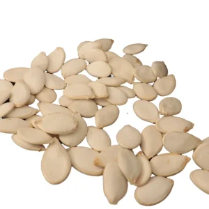 Pumpkin Seeds Snow White Pumpkin Seed Kernels