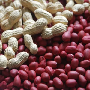 Quality Vacuum Packed Peanut Red Skin Raw Peanuts