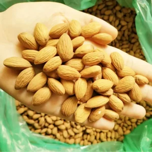 Raw Almonds High Quality Raw Almonds