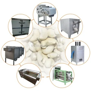 Raw Cashew Nut Production Line Cashew Nuts Processing Machine Cashew Nuts Roasting Machine