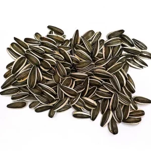 Raw In-shell Sunflower Seeds Chinese Origin Bulk for Africa Market In-shell Sunflower Seeds Sunflower Kernels