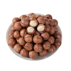Raw Macadamia Kernels 22-25mm Jumbo Size Grade AA Whole Shelled Macadamias Yunnan Origin Bulk Fresh New Crop for OEM