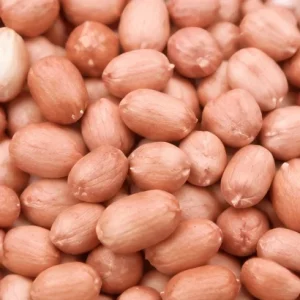 Raw Peanuts High Quality Natural Bold Blanched Peanut Kernel for Sale